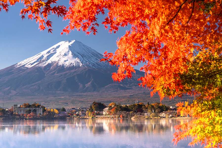 Autumn Foliage
