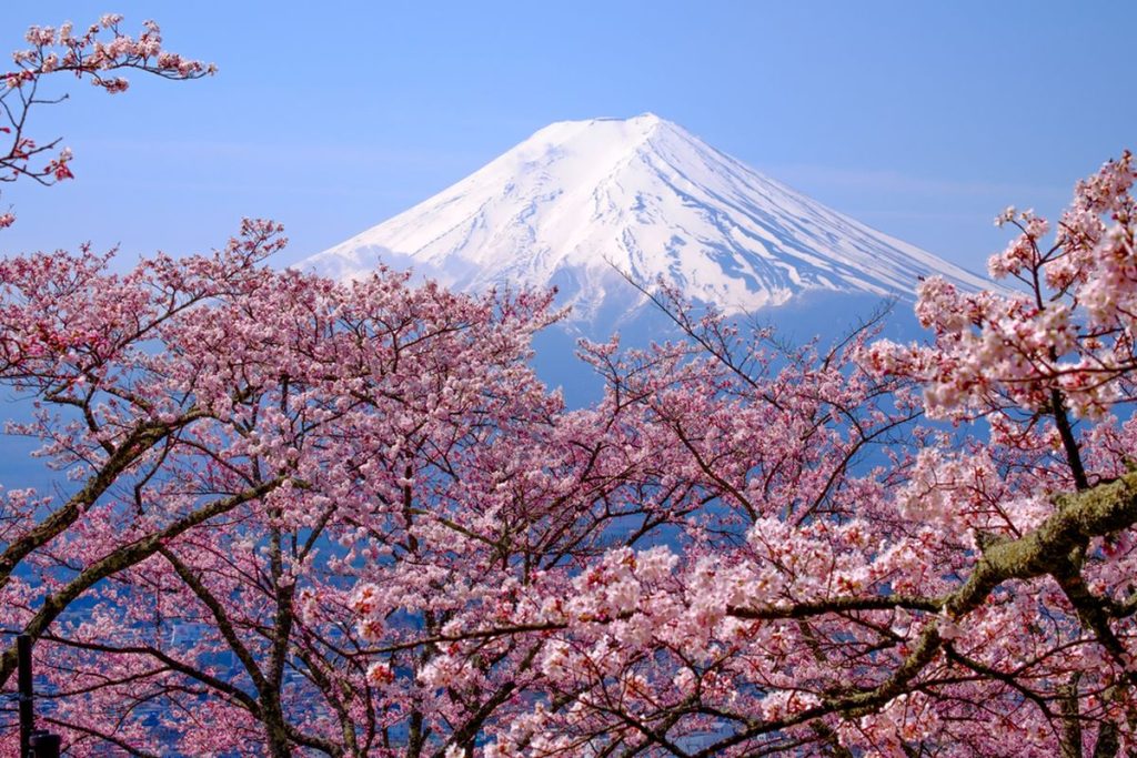 Wisata Gunung Fuji