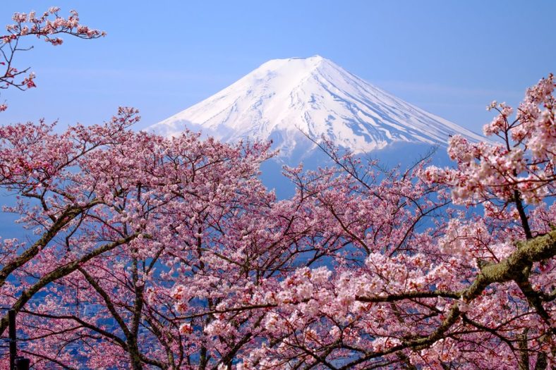Wisata Gunung Fuji