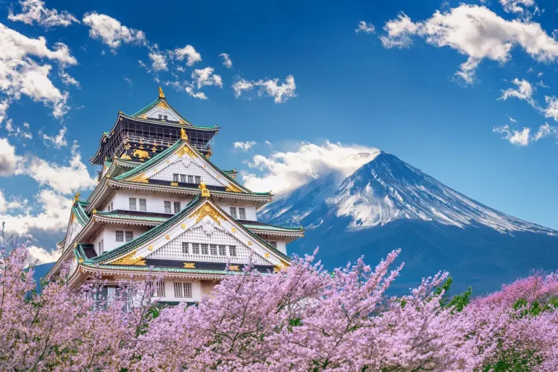 Osaka Castle Jepang